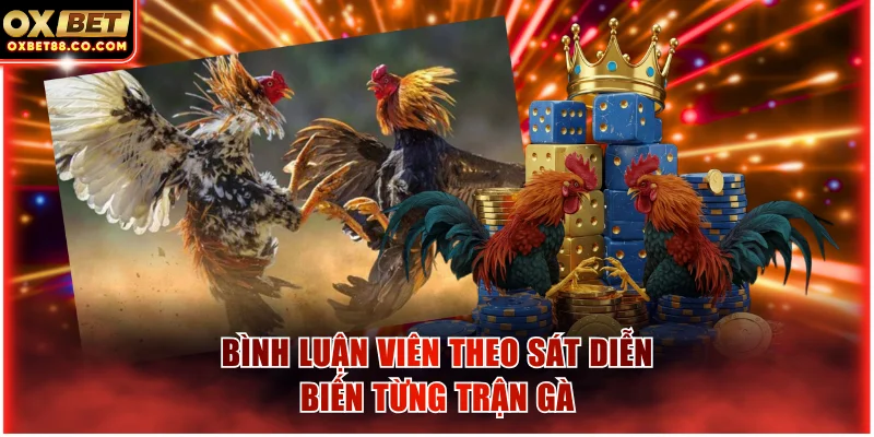 Bình luận viên theo sát diễn biến từng trận gà