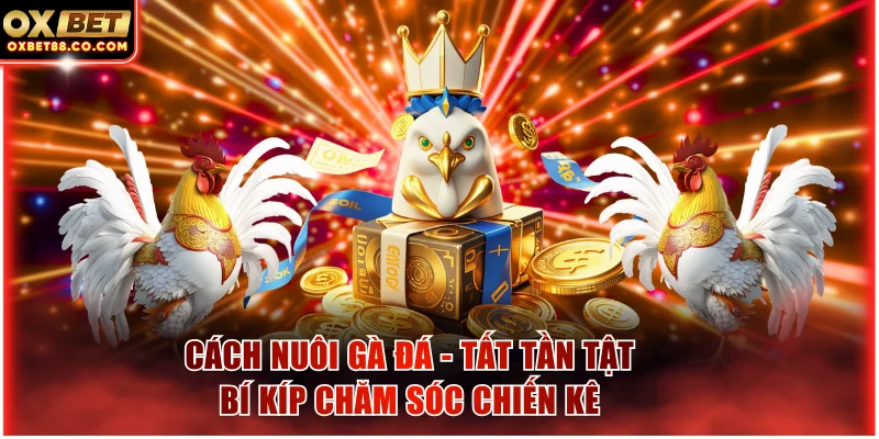 Cách nuôi gà đá