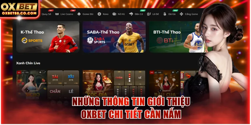 Những thông tin giới thiệu OXBET chi tiết cần nắm