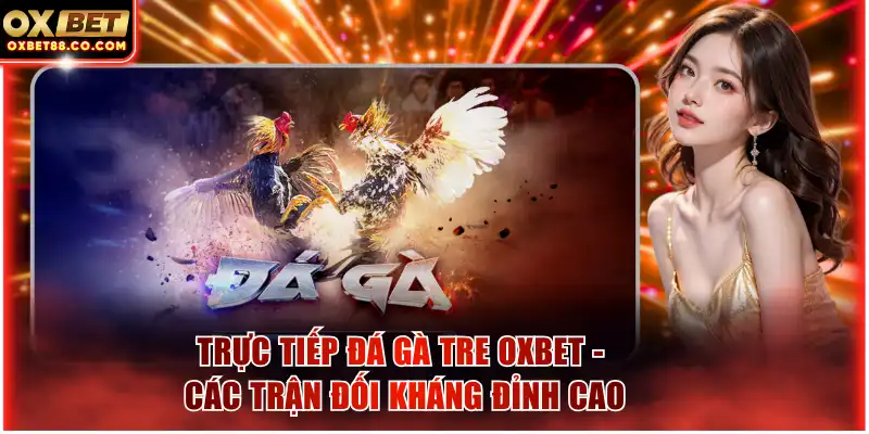 Trực tiếp đá gà tre